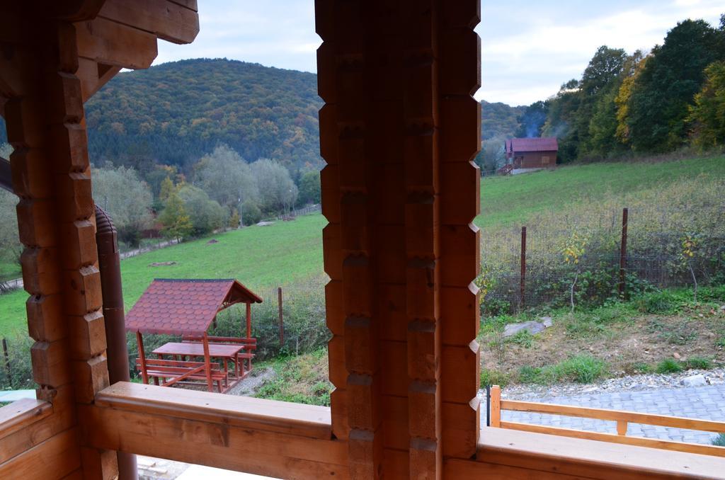 Pensiunea Mihaiu Sasului Vîrciorog Esterno foto
